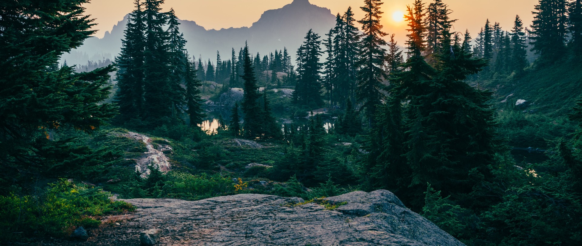 Sunset in a mountain forest